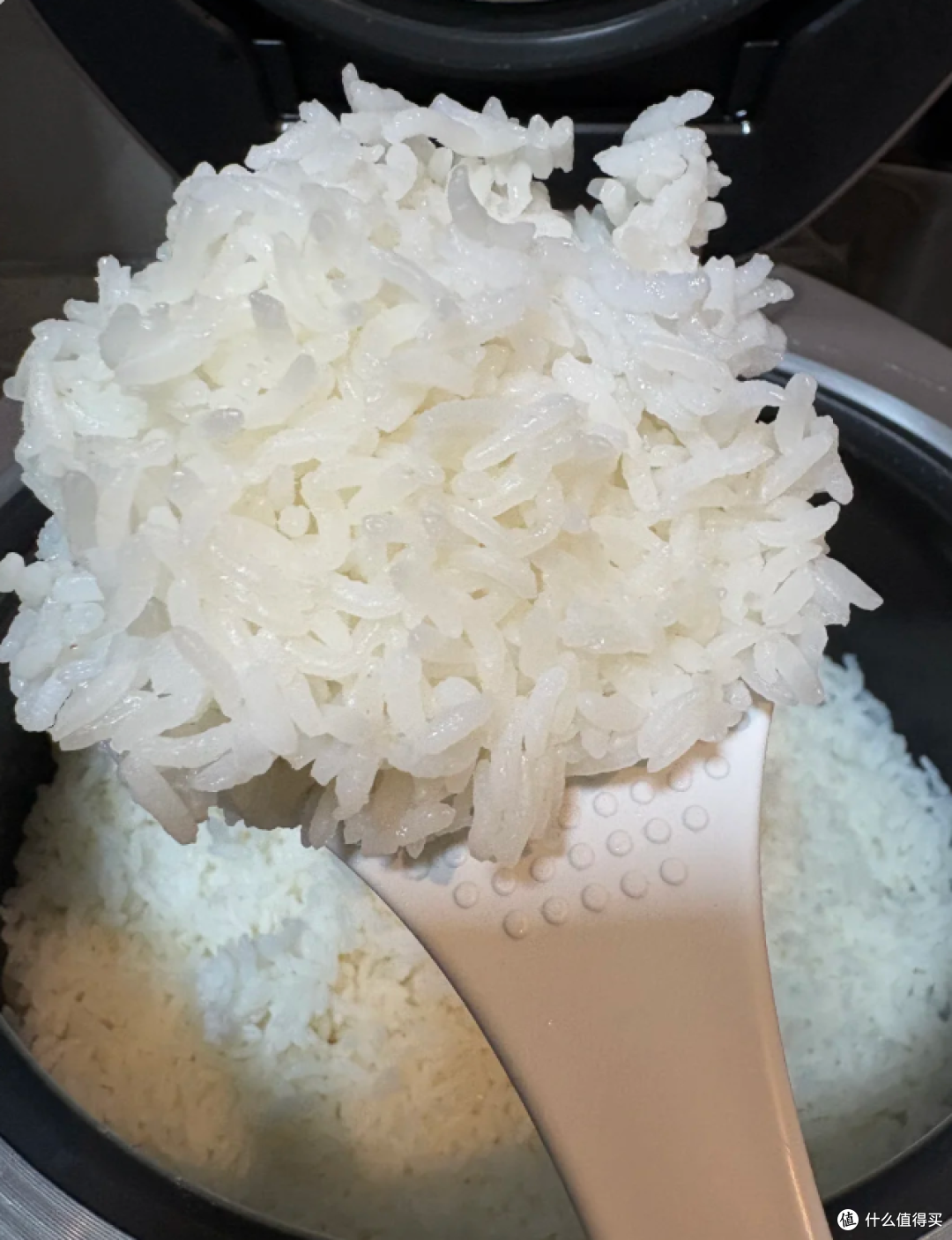 新家电饭煲800字真实使用报告
