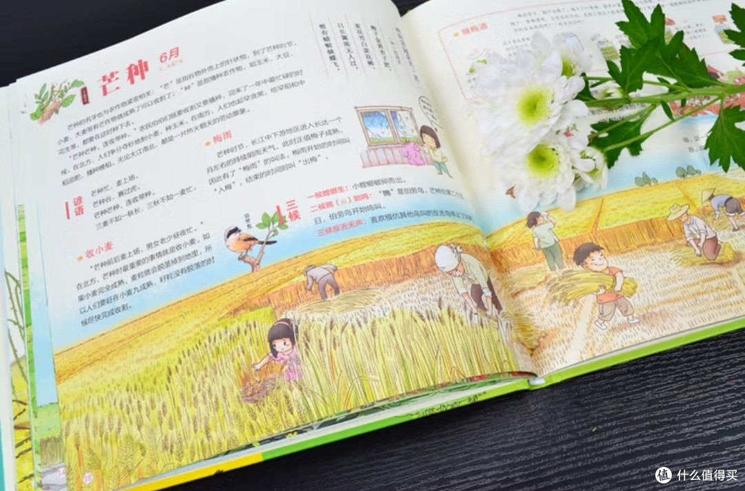 《我们的节气》:带孩子感受时间的诗意与智慧