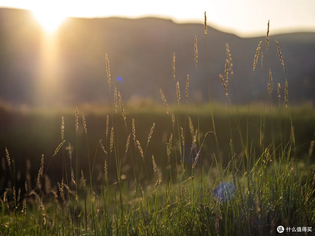 风光+生态一镜搞定!奥之心50-200mm F2.8 IS PRO