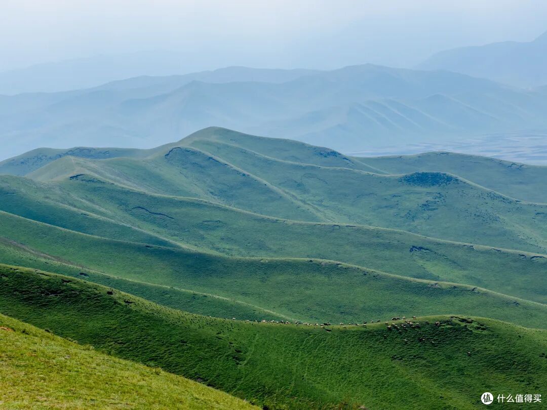 风光+生态一镜搞定!奥之心50-200mm F2.8 IS PRO