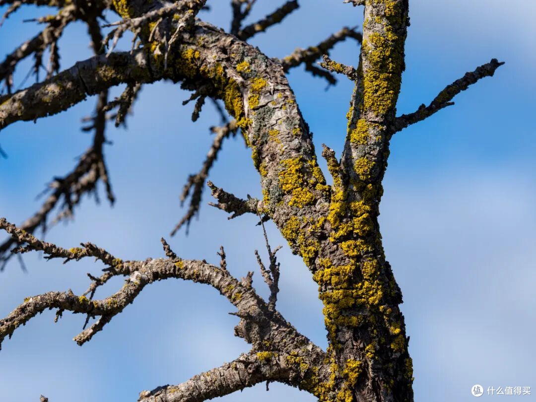 风光+生态一镜搞定!奥之心50-200mm F2.8 IS PRO