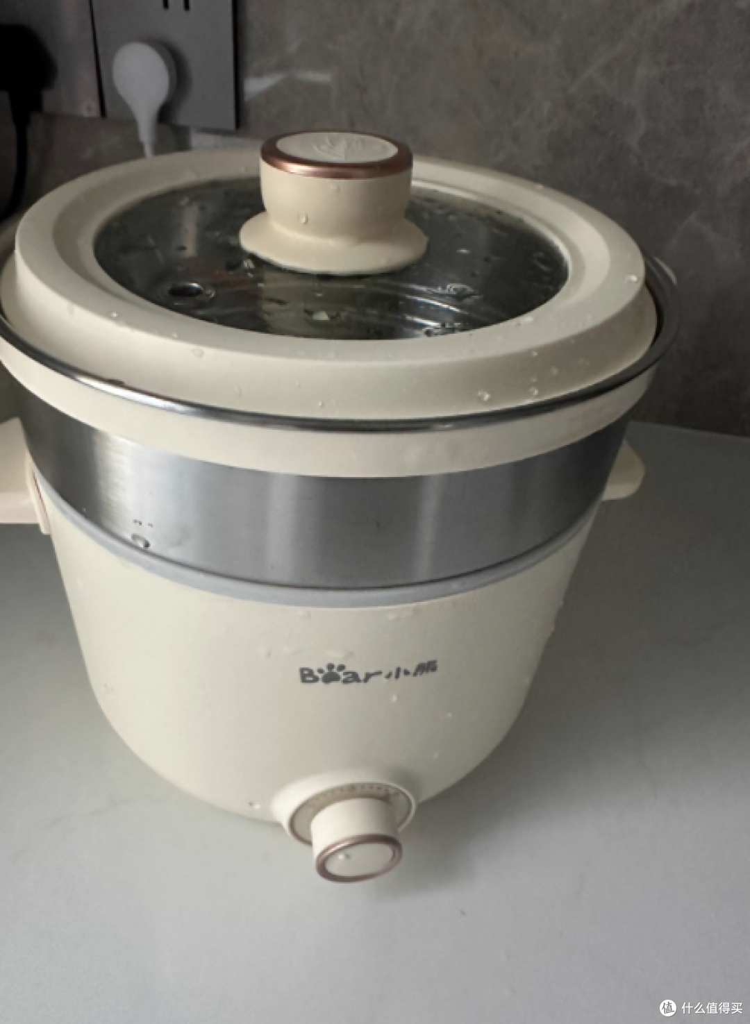 小熊 2.5L 电煮锅,生活小确幸的制造机!