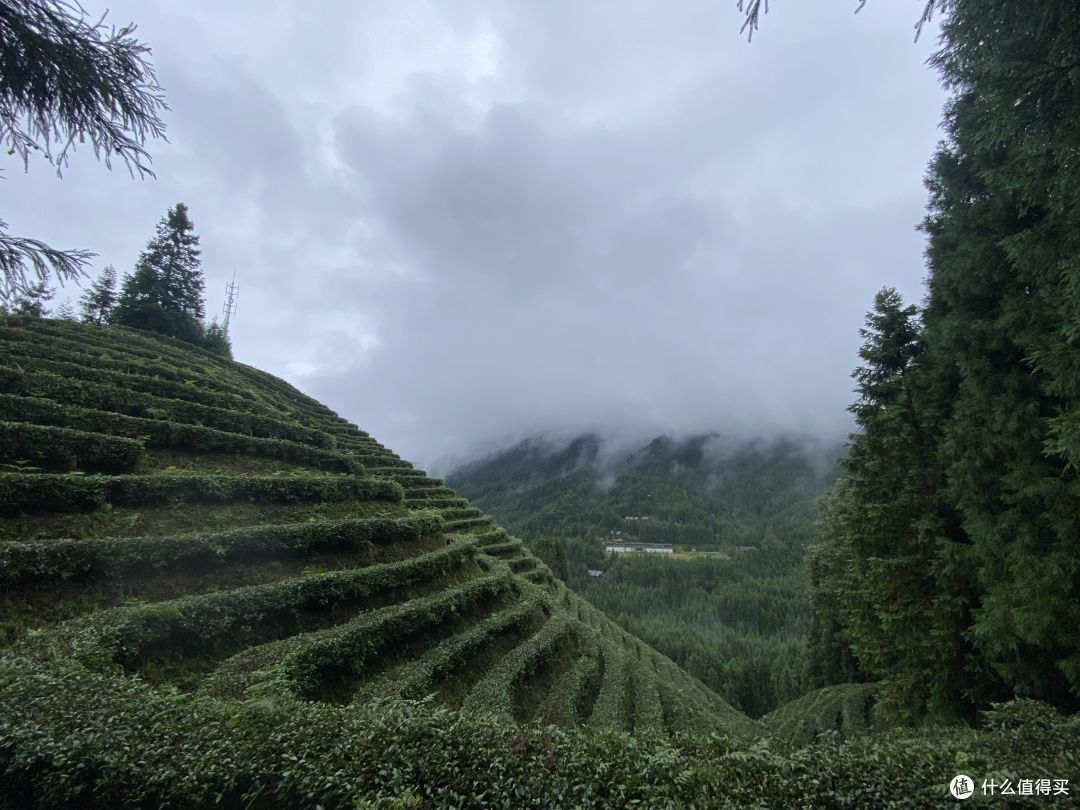 国家地理没有骗我!四川洪雅的这个隐世村落手机根本拍不出它的美