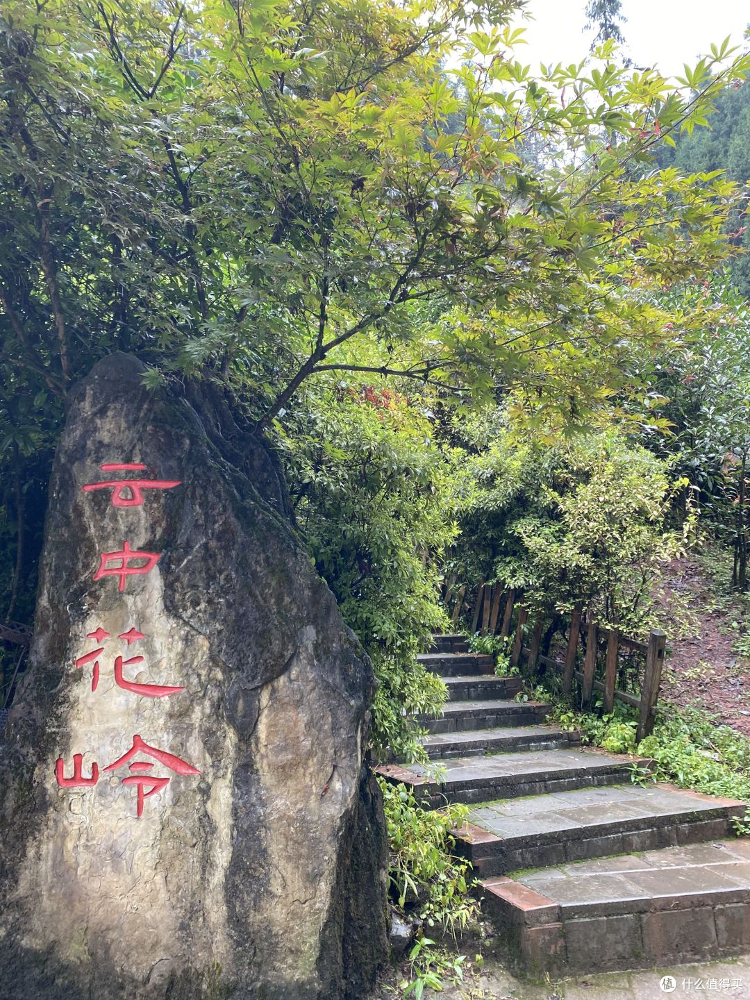 国家地理没有骗我!四川洪雅的这个隐世村落手机根本拍不出它的美
