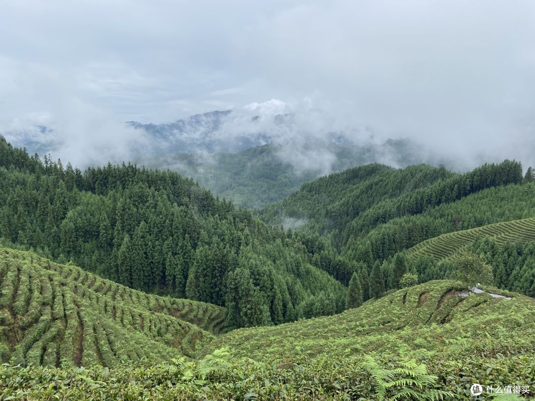 国家地理没有骗我!四川洪雅的这个隐世村落手机根本拍不出它的美