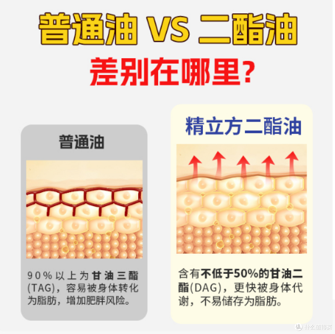 痛风忌口太痛苦?这种“长胖不了”的油,让你吃肉炒菜更安心!