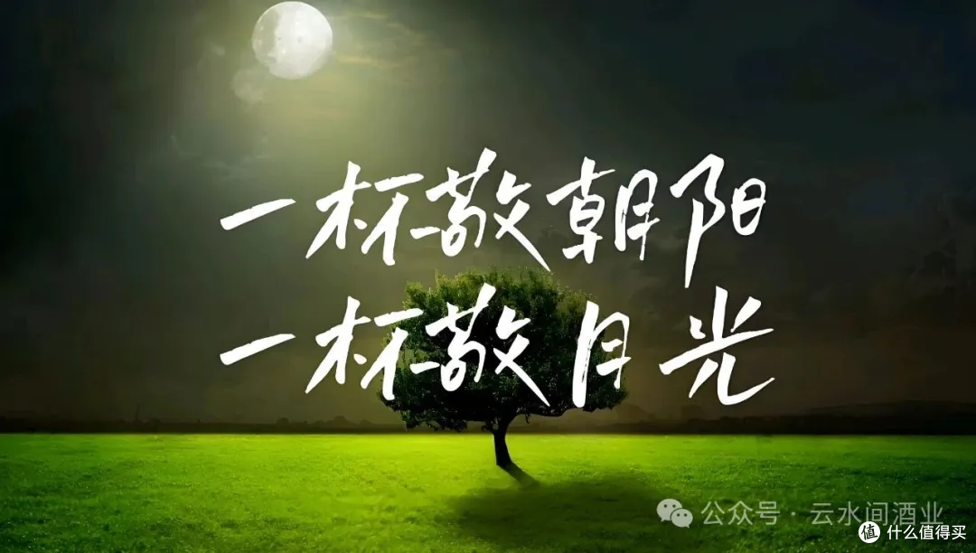 微醺时光 | 一杯云水间,治愈所有心情