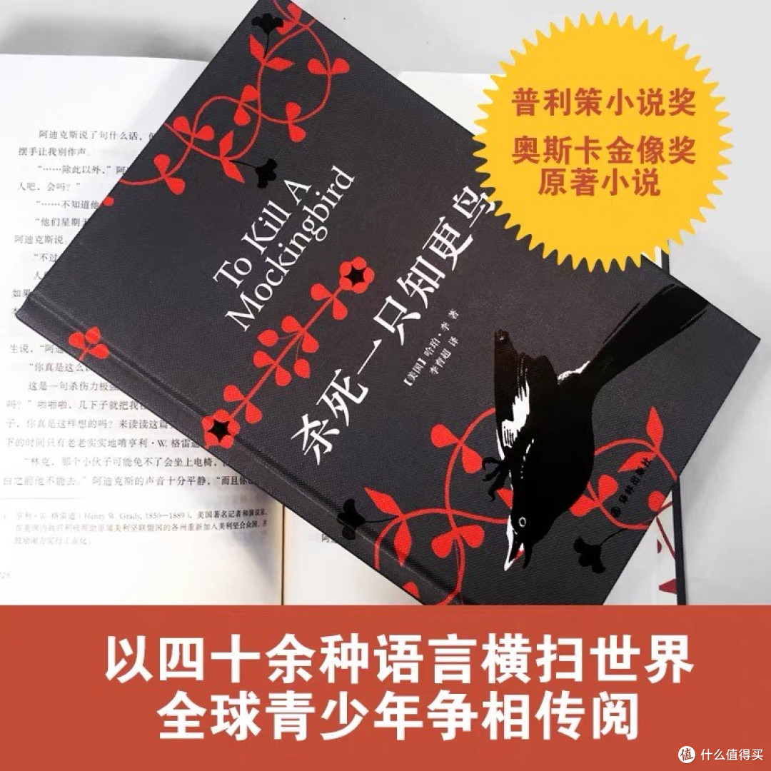 《杀死一只知更鸟》：勇气与正义的教科书。