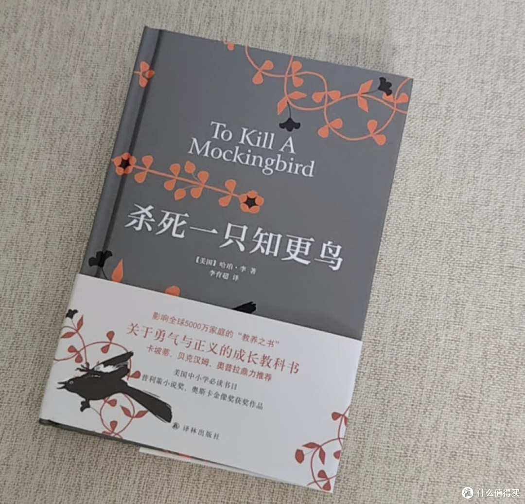《杀死一只知更鸟》：勇气与正义的教科书。
