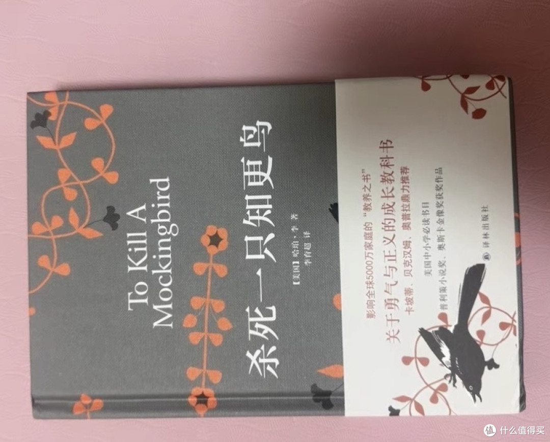 《杀死一只知更鸟》：勇气与正义的教科书。