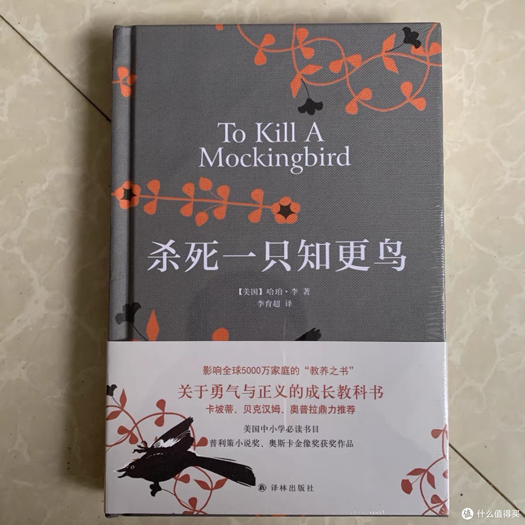《杀死一只知更鸟》：勇气与正义的教科书。