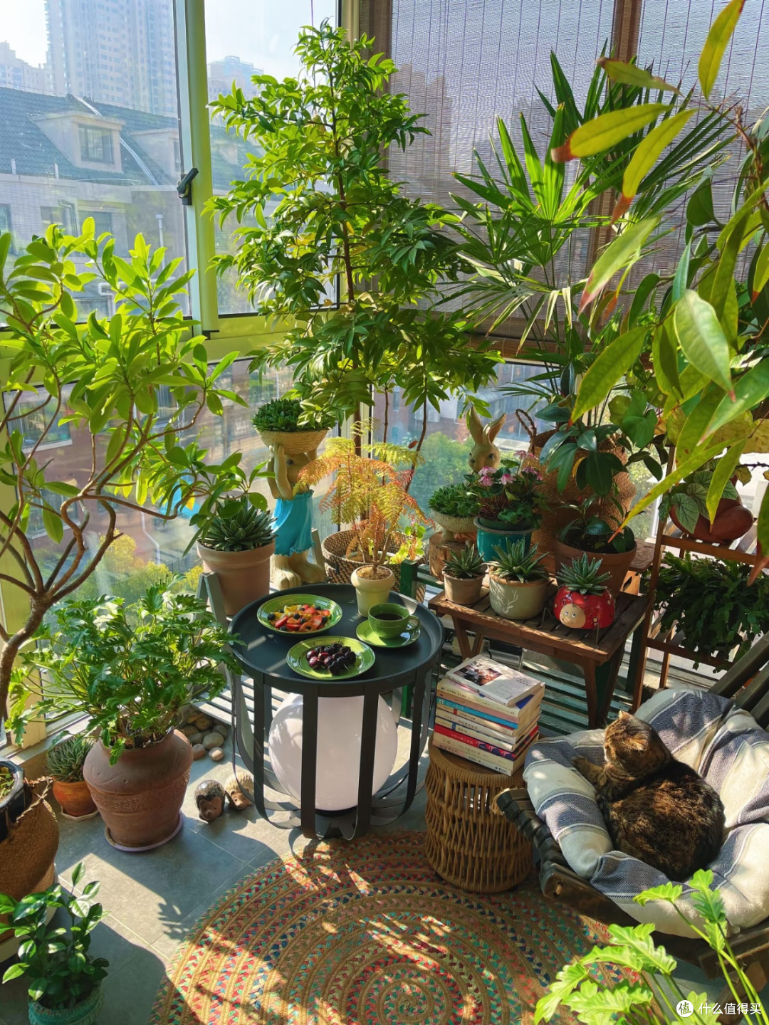 9㎡阳台打造小森林:掌握植物摆放技巧,层次感轻松出来