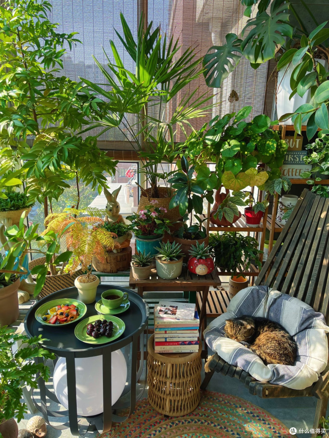 9㎡阳台打造小森林:掌握植物摆放技巧,层次感轻松出来
