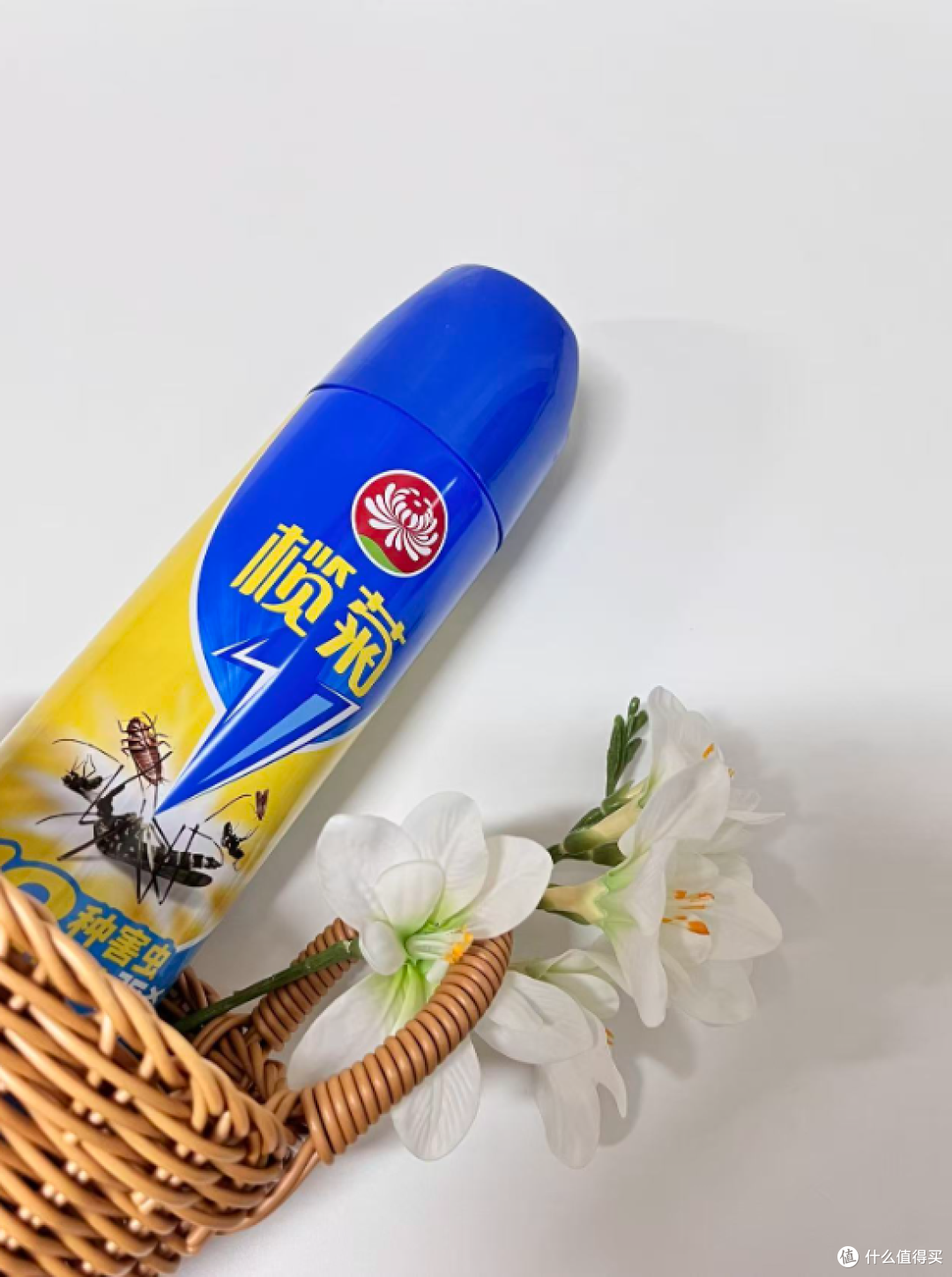 夏日必备,建议人手一瓶