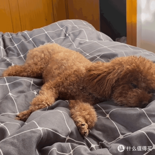 一些托举自己的tips