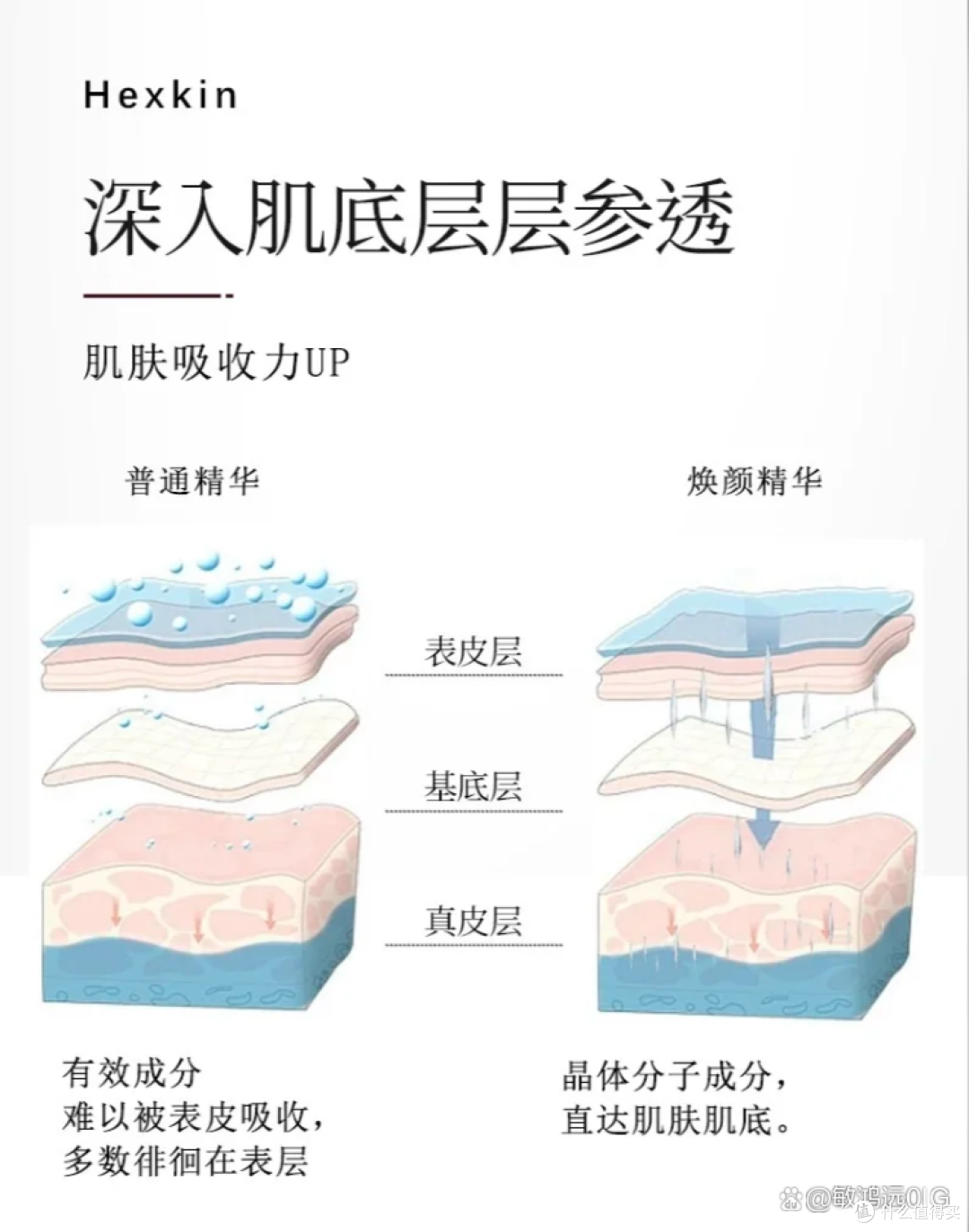 焕颜新宠：赫诗琴焕颜精华乳微针实力揭秘