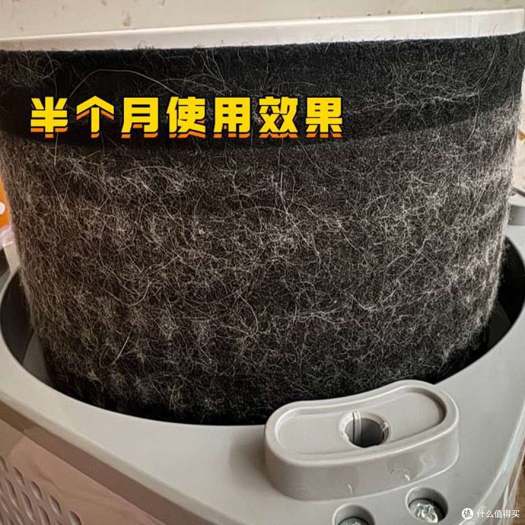 浮毛多、异味大?希喂宠物空气净化器好用吗?真实体验分享!