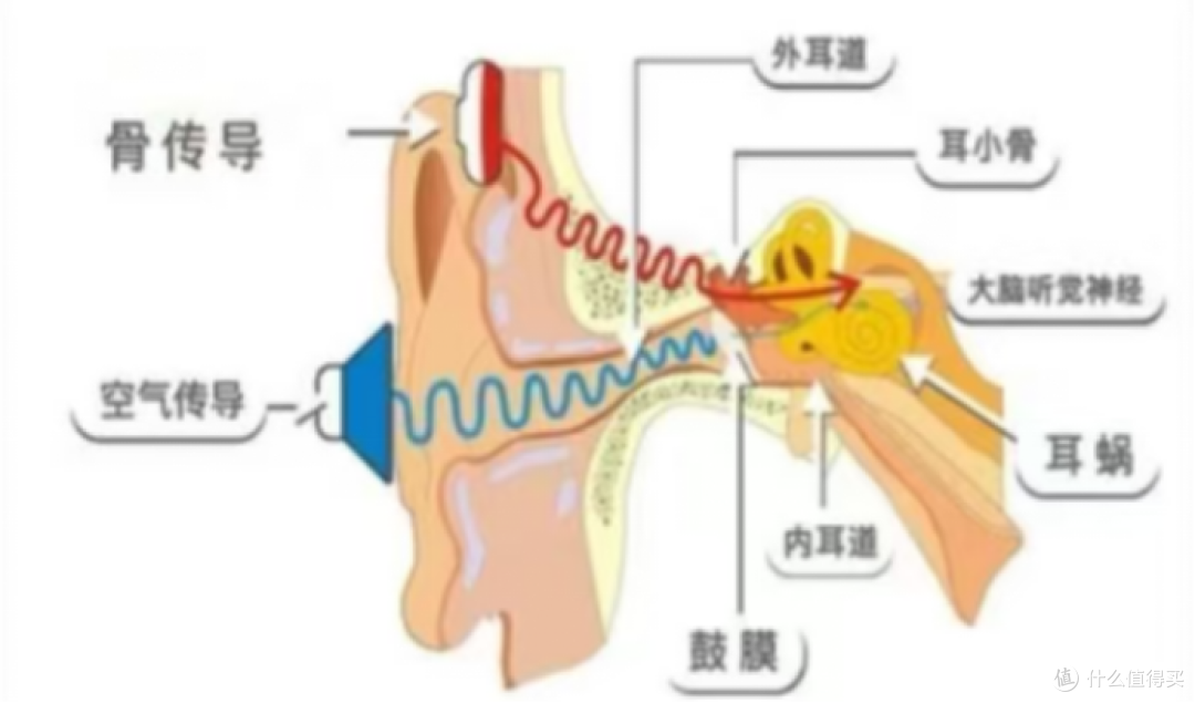 什么是开放式耳机？2025年高性价比耳挂式蓝牙耳机推荐品牌