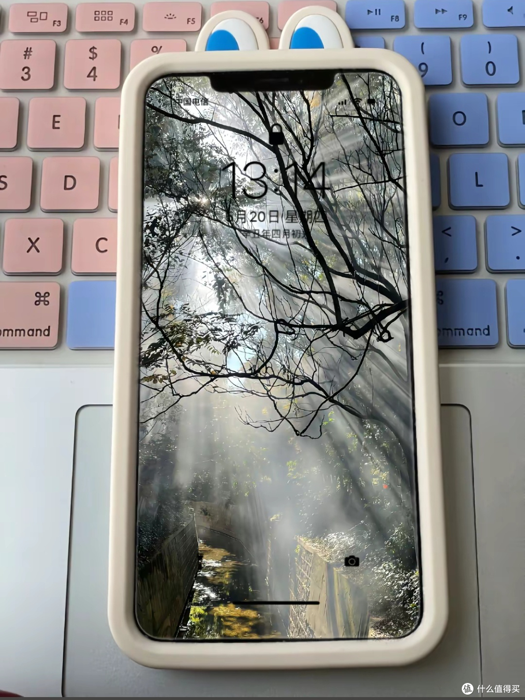 树影光影打造锁屏美学