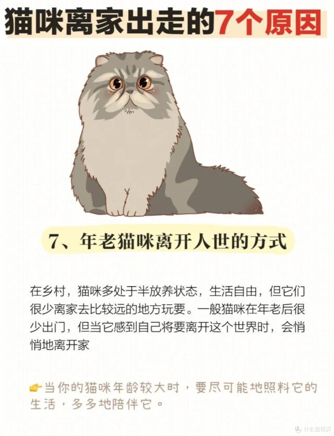猫咪突然“离家出走”？缘由超乎你想象！