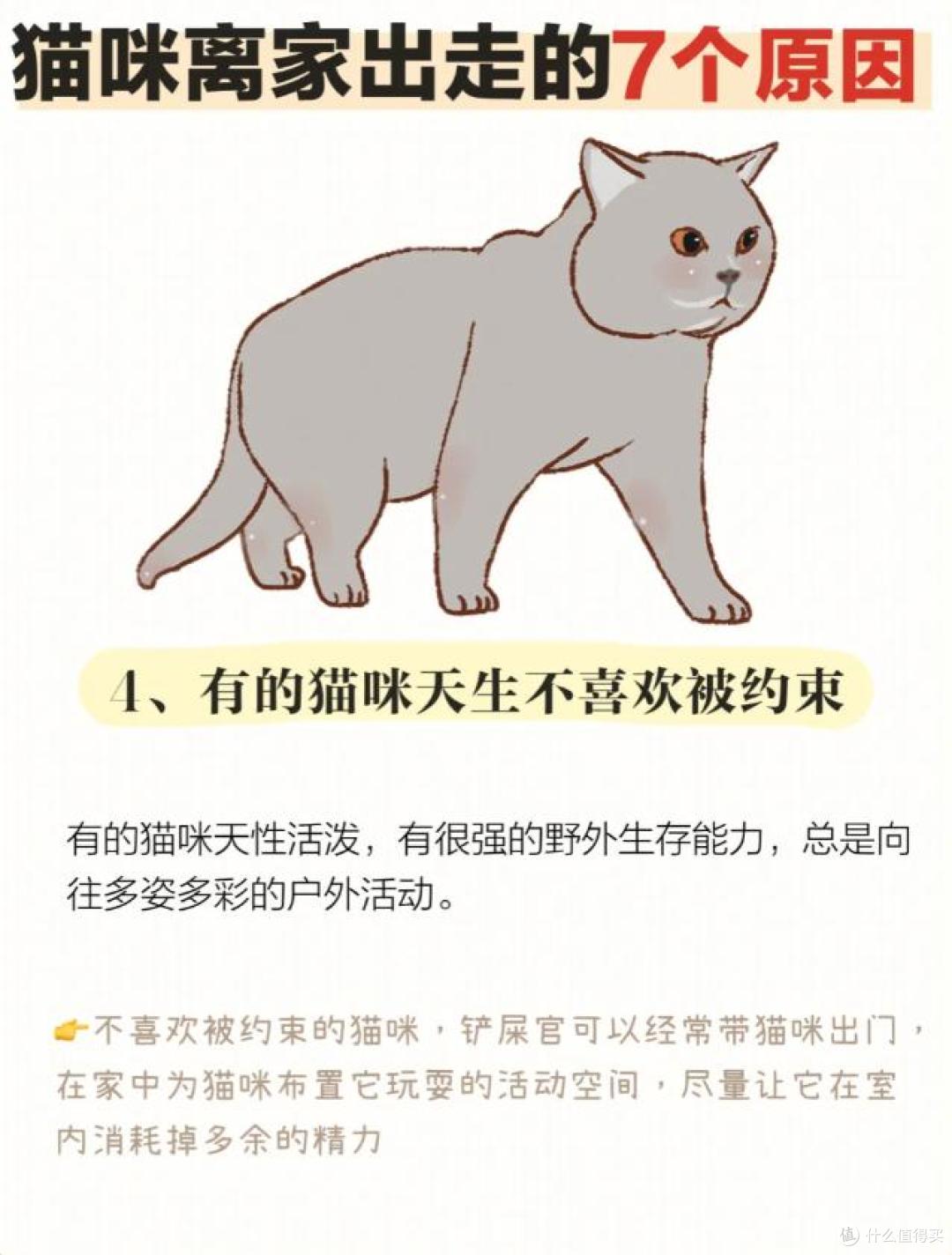 猫咪突然“离家出走”？缘由超乎你想象！