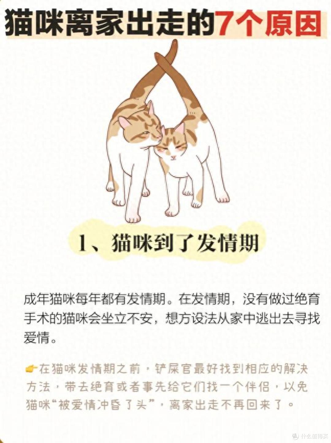 猫咪突然“离家出走”？缘由超乎你想象！