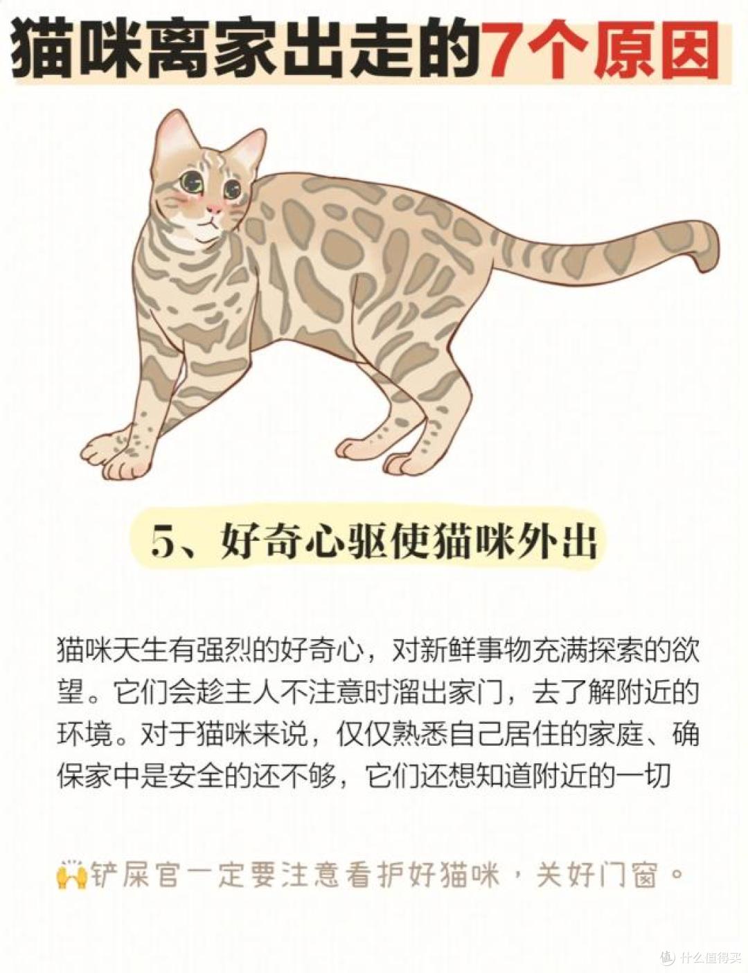 猫咪突然“离家出走”？缘由超乎你想象！