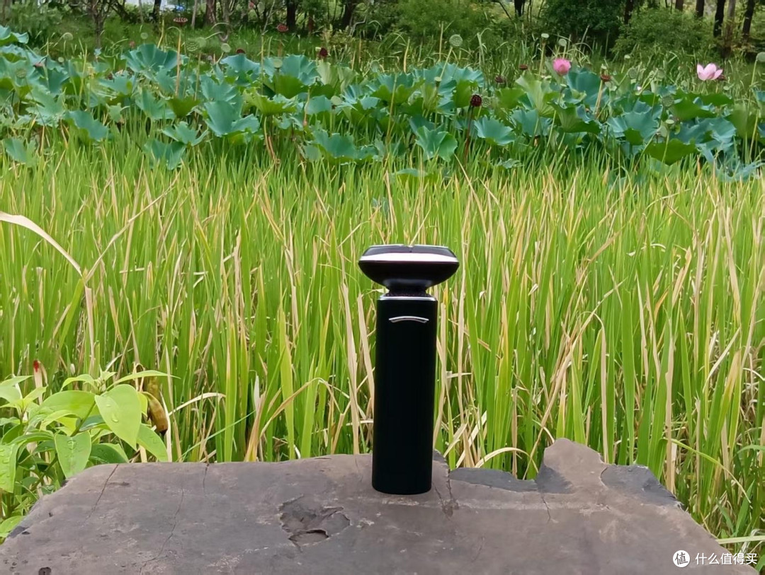 动力澎湃,23000速净剃肉眼可见!媲美千元机,未野MAX剃须刀测评