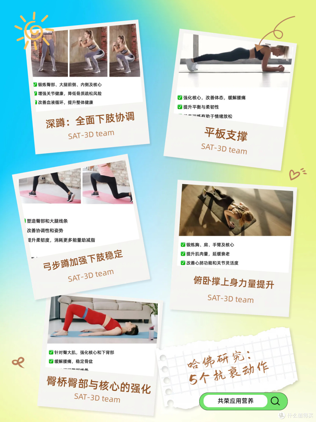 哈佛医学院：抗衰老运动与健康策略简介