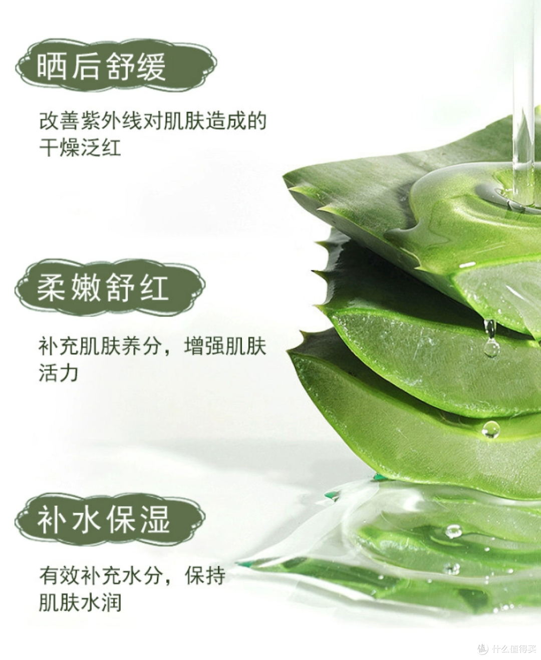 哪款芦荟胶最补水最修护?2025年最值得入手的8款芦荟胶测评解析