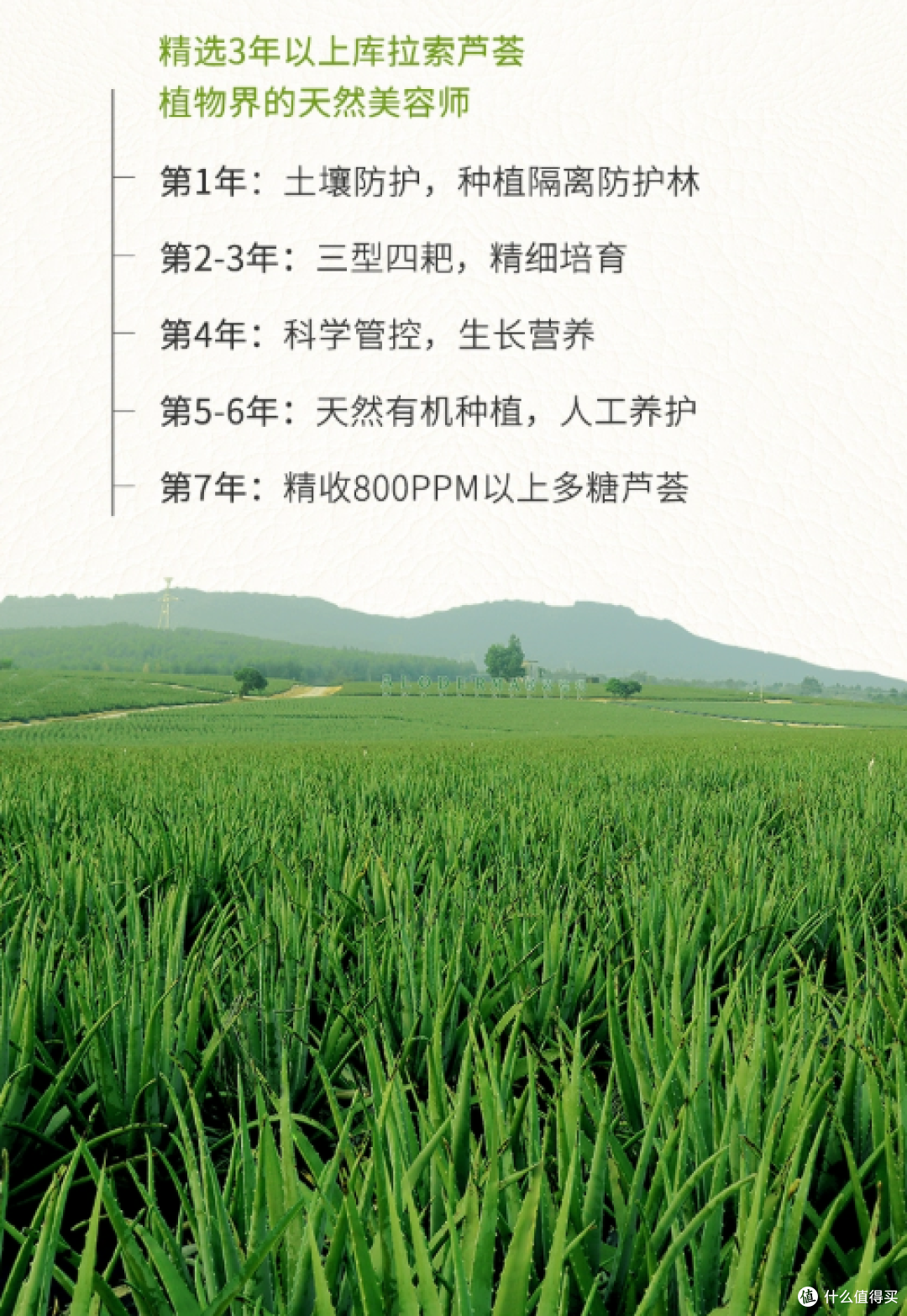 哪款芦荟胶最补水最修护?2025年最值得入手的8款芦荟胶测评解析