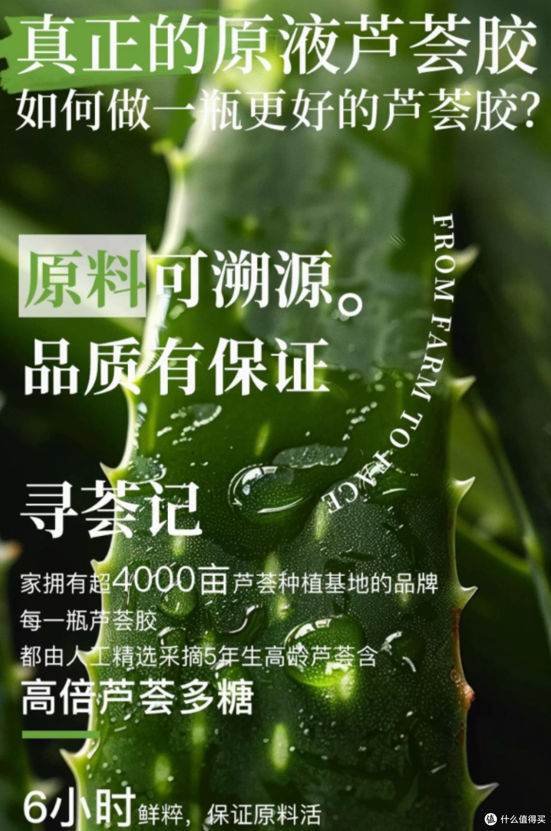 哪款芦荟胶最补水最修护?2025年最值得入手的8款芦荟胶测评解析