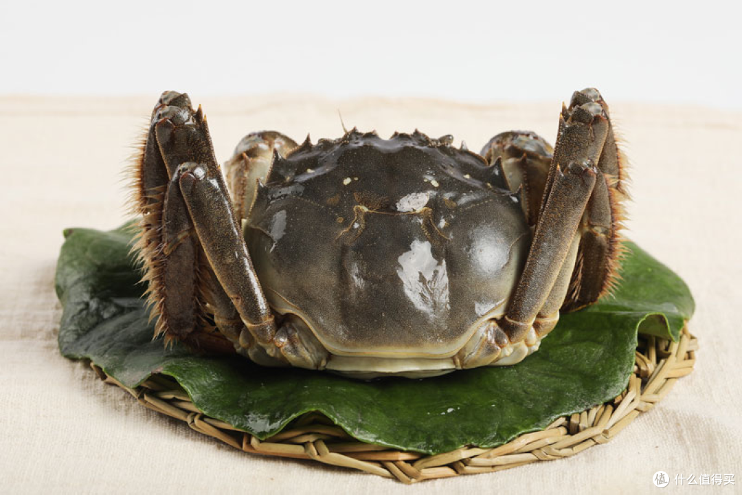 这三道不可错过的秋日美味,你是不是也喜欢