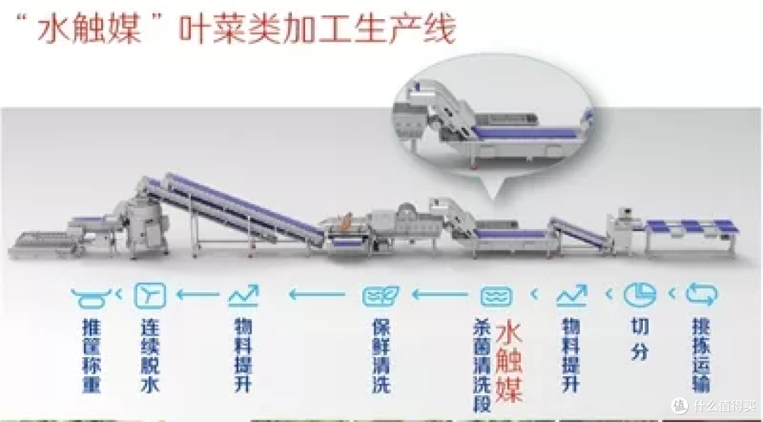 水触媒净化净食机哪个品牌好,值得选?商鼎,一站式满足!