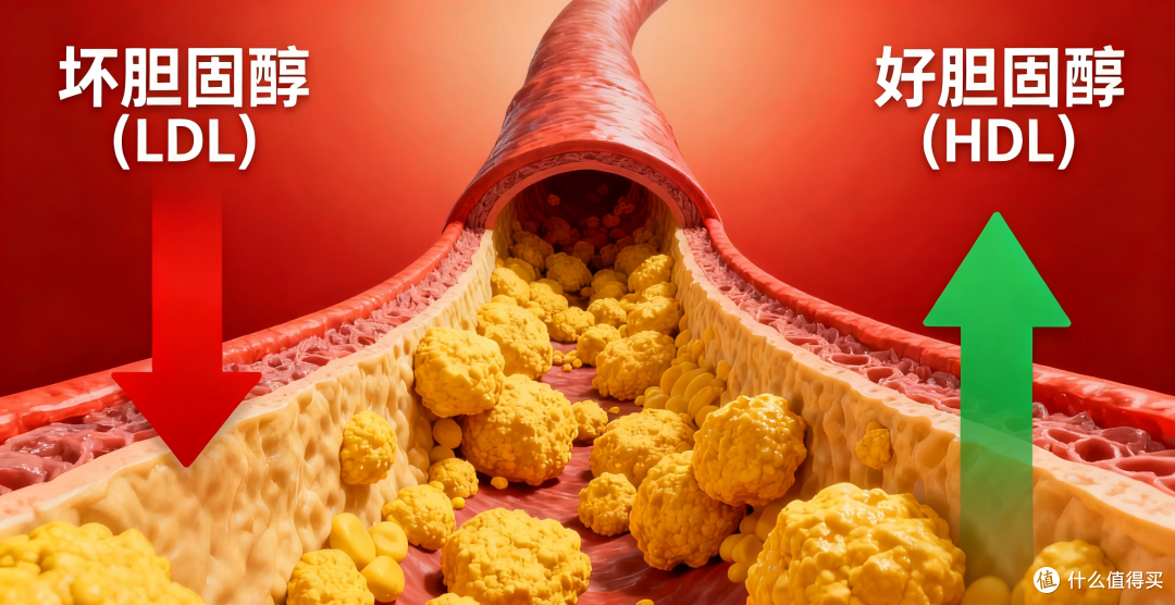 2025胆固醇高怎么控制?吃什么降血脂和胆固醇?