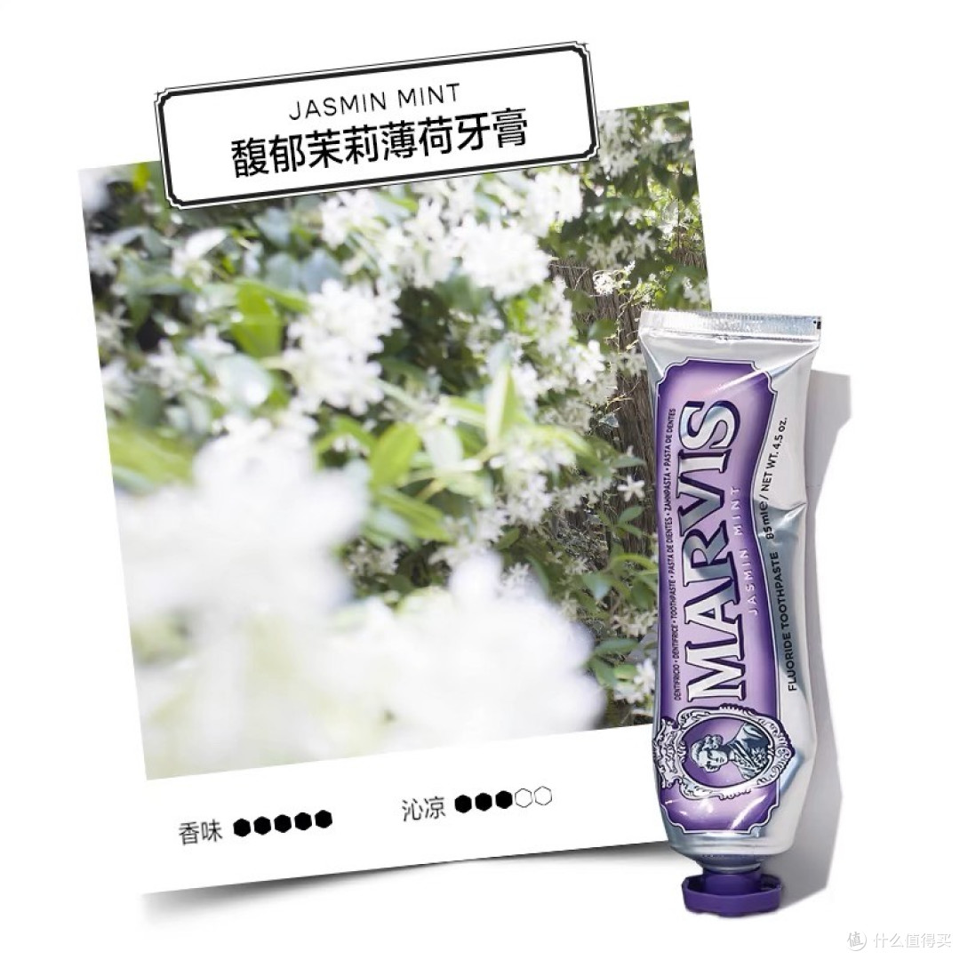 MARVIS牙膏:茉莉薄荷与异域生姜