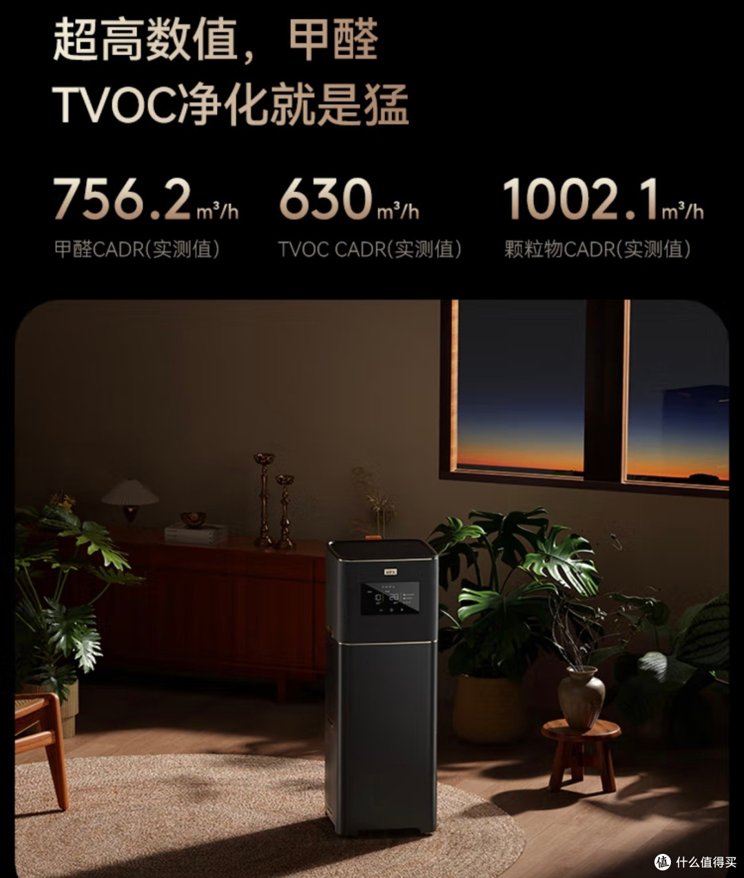 装修后被甲醛搞到失眠?我靠它把家变成“有氧小天地”