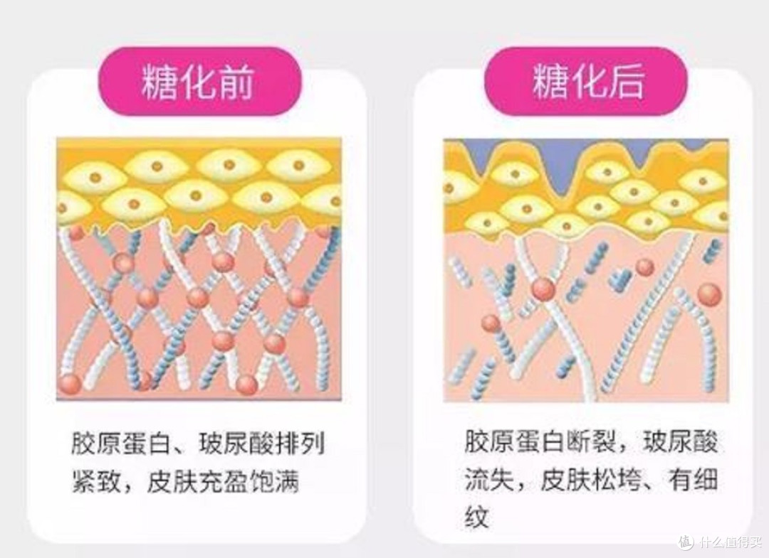 抗皱紧致护肤品哪款好?抗老面霜推荐总结:这几款分享给你!