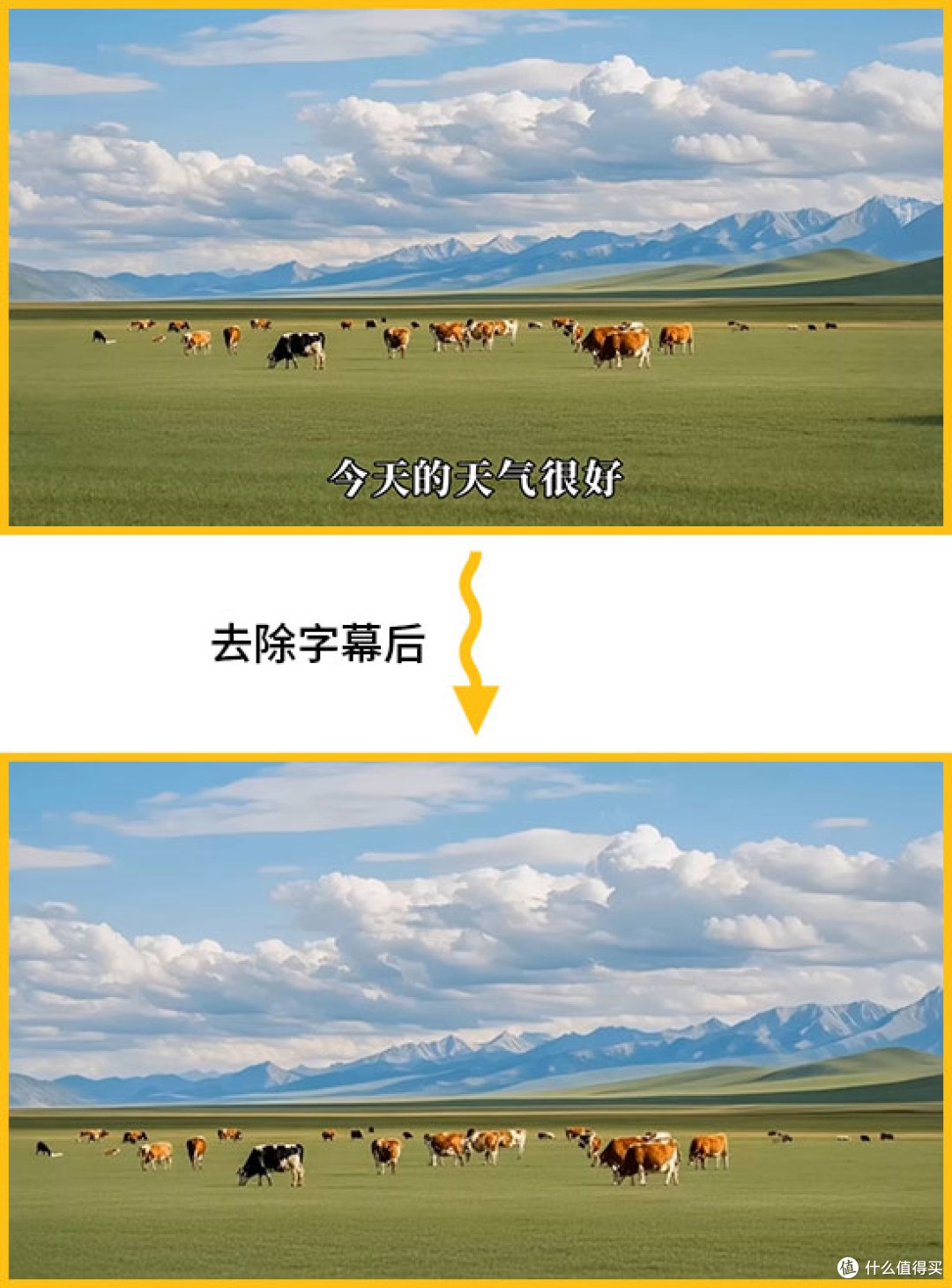 哪个软件可以把视频的字幕去掉？5款去除视频字幕的工具
