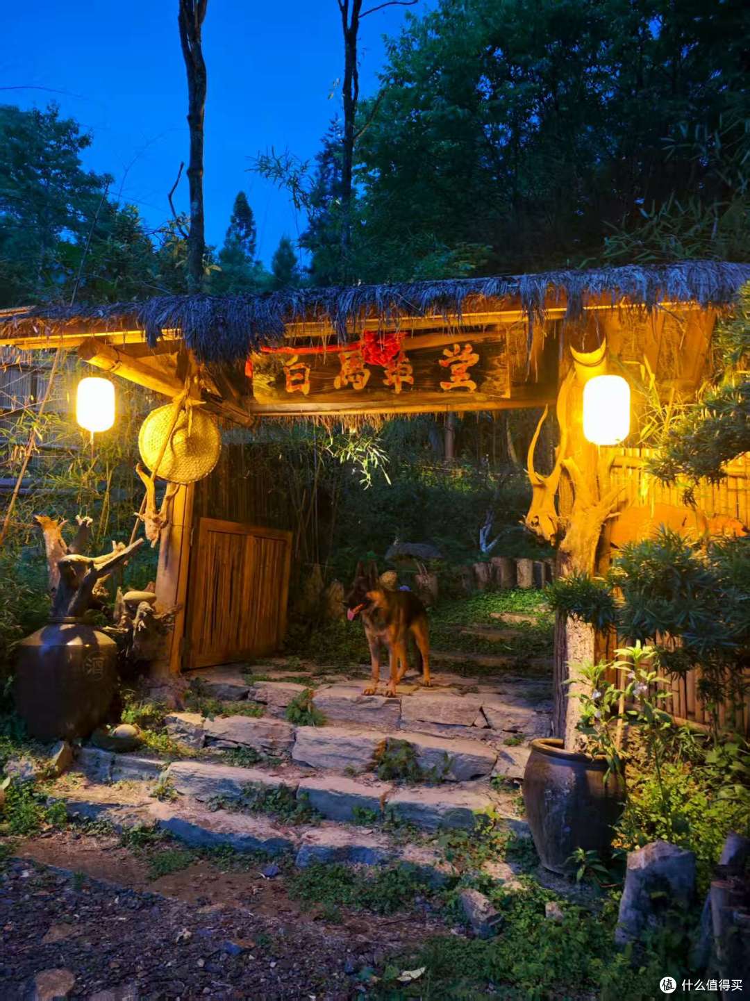 厌倦了城市的喧嚣？来白马草堂，开启一场沉浸式山野疗愈之旅！