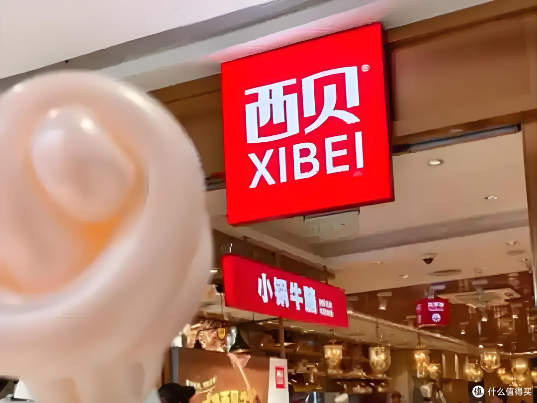 罗永浩“炮轰”西贝背后:预制菜利弊与餐饮业透明化之争