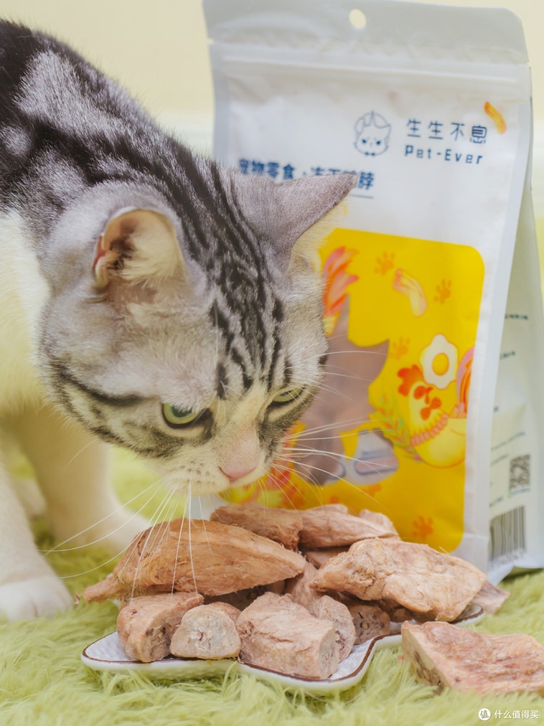 几款还不错的国货宠物用品