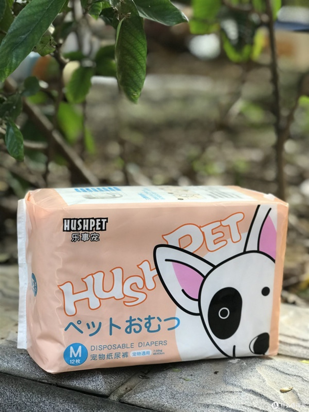 几款还不错的国货宠物用品