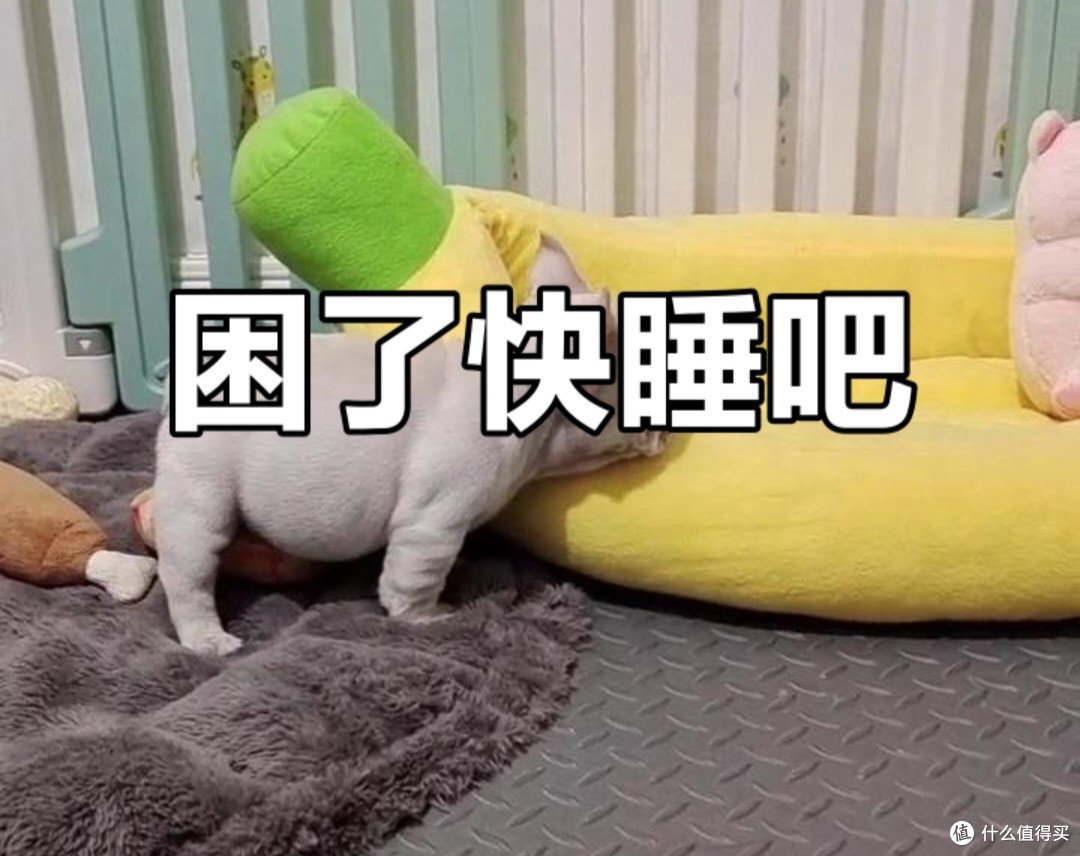 坚持科学的午睡,提升每天的效率,让我们的身心健康起来