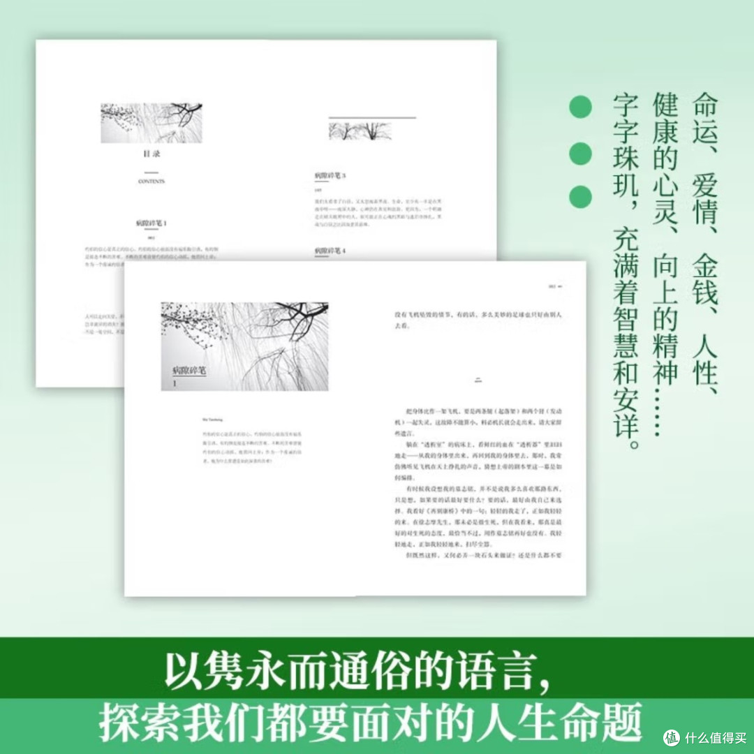 史铁生《病隙碎笔》:苦难中的生命哲学