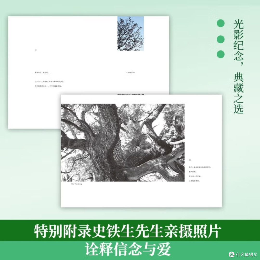 史铁生《病隙碎笔》:苦难中的生命哲学