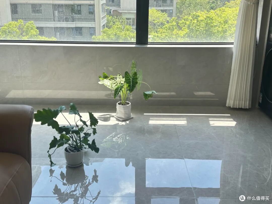 被风油精的“神仙用法”圈粉了!换个方式后,立马成了生活小能手