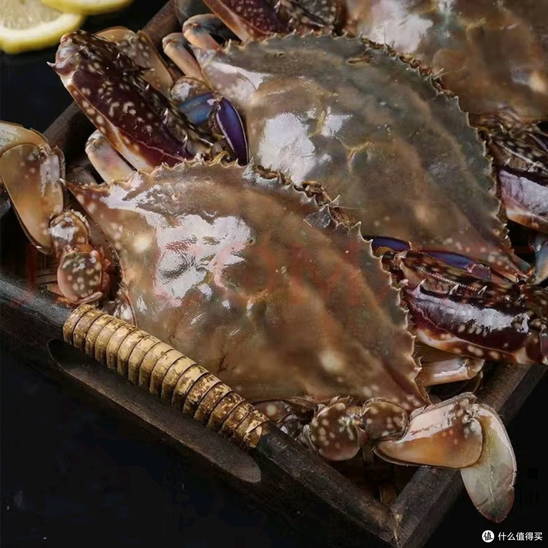 开海季,舌尖上的“鲜”滋味