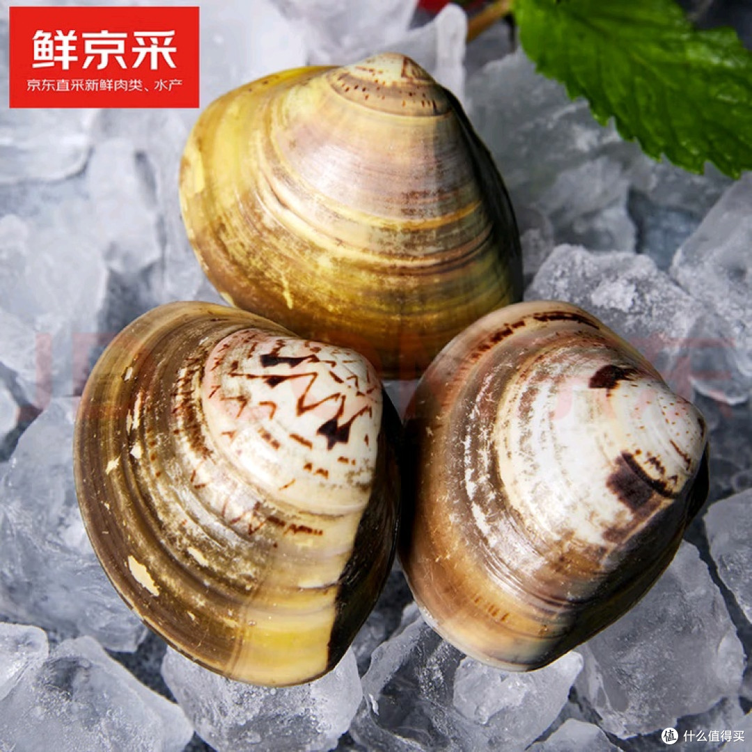 开海季,舌尖上的“鲜”滋味