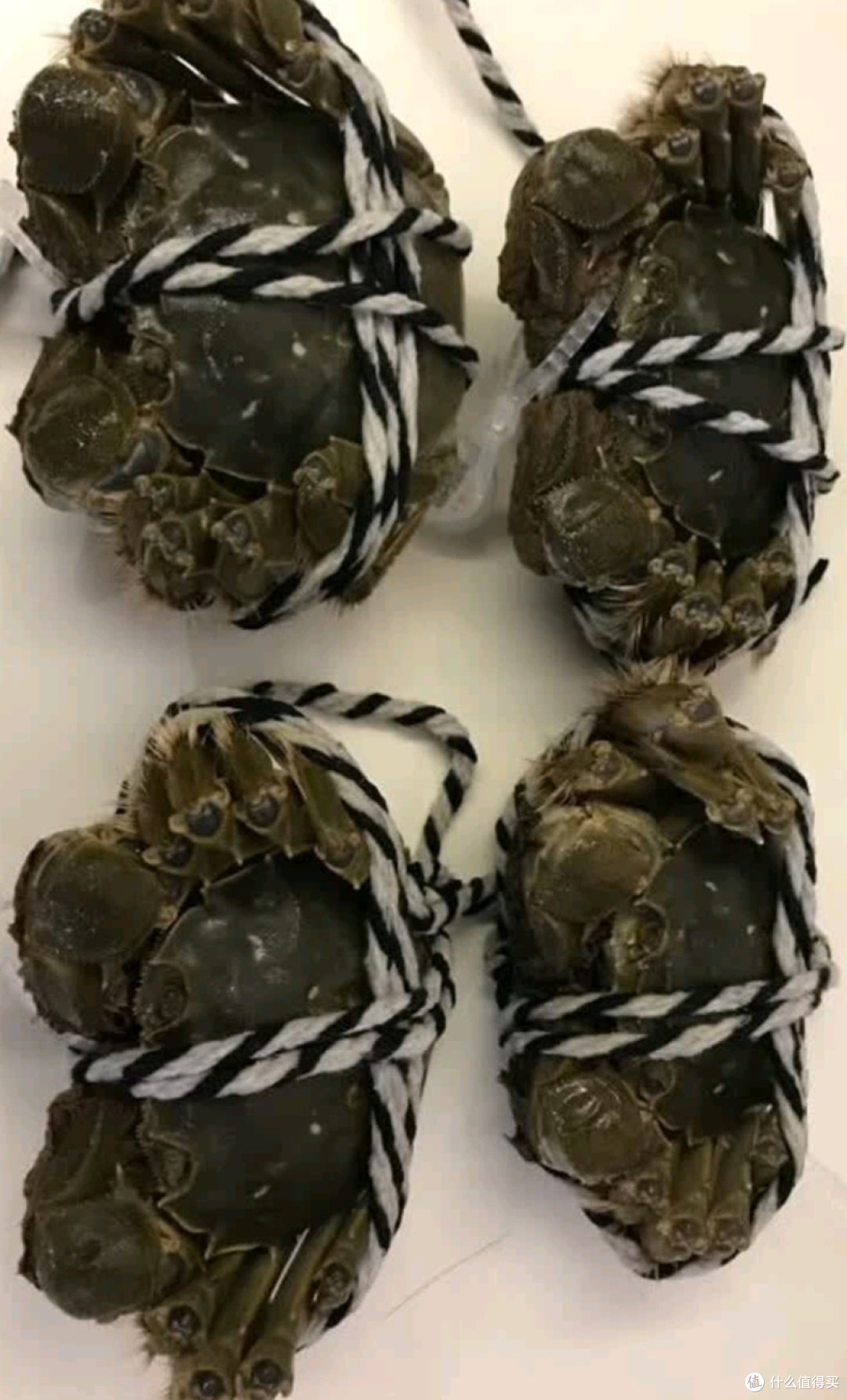 阳澄湖大闸蟹:秋日的味觉传奇